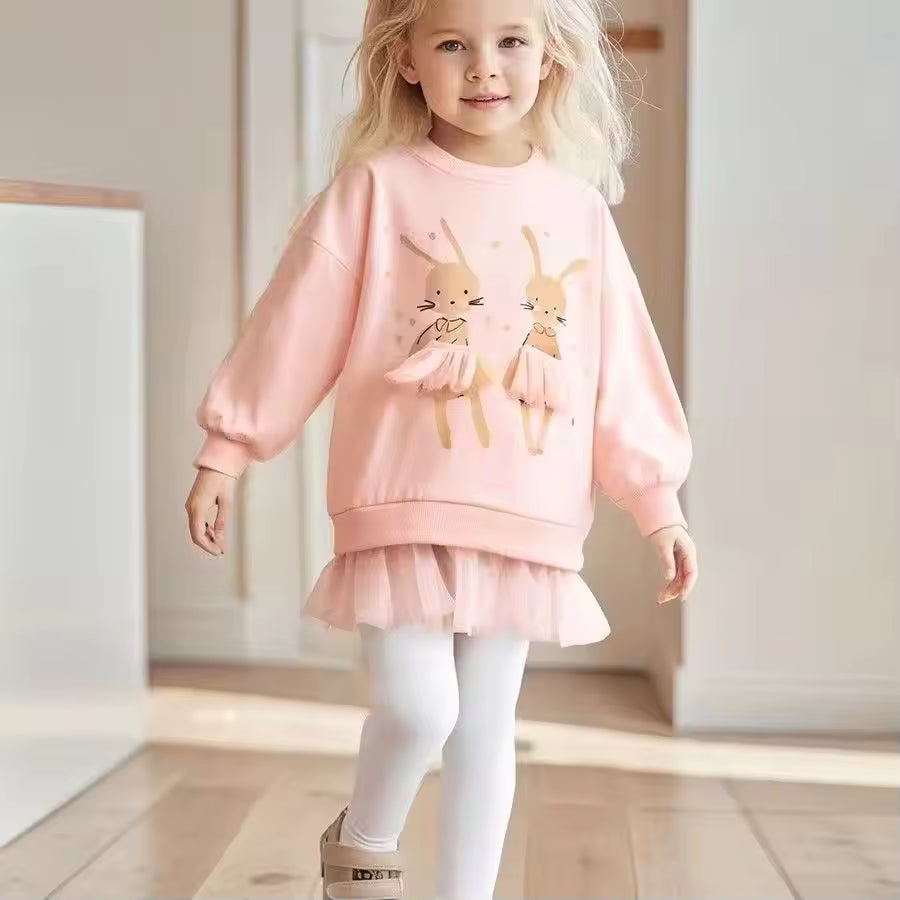 Mädchen-Set aus rosa Tutu-Kleid und Pullover
