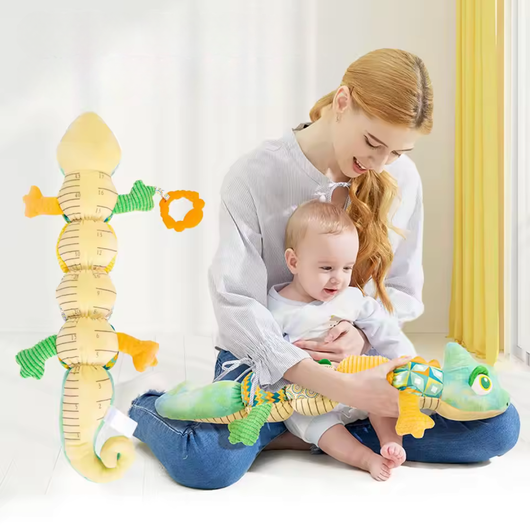 BabyDiscoverer Toy